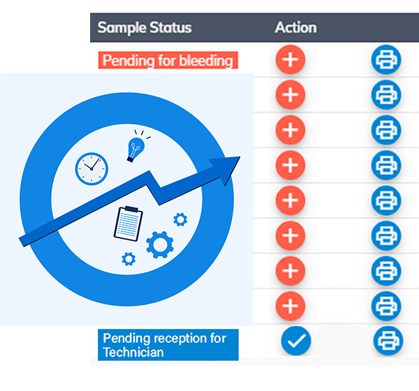 Efficiency of LabNetic